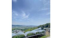 [HS]【定期便&nbsp;全2回】ぶどう&nbsp;2026年&nbsp;&nbsp;9月・10月発送&nbsp;最高級品シャイン&nbsp;マスカット&nbsp;晴王&nbsp;1房&nbsp;約700g&nbsp;&nbsp;|&nbsp;シャインマスカット&nbsp;シャイン&nbsp;マスカット&nbsp;果物&nbsp;フルーツ&nbsp;新鮮&nbsp;ブドウ&nbsp;葡萄&nbsp;&nbsp;岡山&nbsp;国産&nbsp;ギフト&nbsp;おすすめ&nbsp;人気