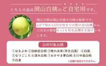 桃 2025年 先行予約 ご家庭用 岡山 白桃 早生、中生種 約1.4kg（4～6玉） もも モモ 岡山県 岡山市産 国産 フルーツ 果物