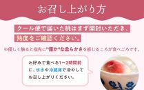 桃 2025年 先行予約 ご家庭用 岡山 白桃 早生、中生種 約1.4kg（4～6玉） もも モモ 岡山県 岡山市産 国産 フルーツ 果物