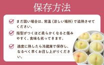 桃 2025年 先行予約 ご家庭用 岡山 白桃 早生、中生種 約1.4kg（4～6玉） もも モモ 岡山県 岡山市産 国産 フルーツ 果物