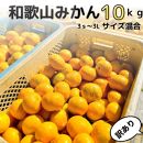 【訳あり】和歌山みかん 約9.5kg+補償分約500g サイズ混合 11月より順次発送 訳ありみかん 【red1】