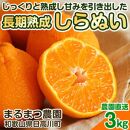 長期熟成しらぬい 約3kg 濃厚なコクと甘さ 農家直送 和歌山県産 【2025年5月中旬頃順次発送】