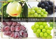 フルーツ&nbsp;&nbsp;2026年&nbsp;岡山県産&nbsp;定期便&nbsp;4回コース（シャインマスカット・ニューピオーネ・岡山冬桃がたり等）&nbsp;|&nbsp;フルーツ&nbsp;果物&nbsp;くだもの&nbsp;ぶどう&nbsp;ブドウ&nbsp;シャインマスカット&nbsp;&nbsp;晴王&nbsp;ニューピオーネ&nbsp;&nbsp;国産&nbsp;岡山県産&nbsp;食品&nbsp;人気&nbsp;おすすめ&nbsp;送料無料&nbsp;ギフト&nbsp;贈り物&nbsp;贈答品&nbsp;プレゼント&nbsp;果物&nbsp;くだもの&nbsp;フルーツ&nbsp;ぶどう&nbsp;ブドウ&nbsp;シャインマスカット&nbsp;晴王&nbsp;ニューピオーネ