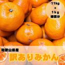 【訳あり】和歌山みかん約11kg+補償分約1kg サイズ混合 11月より順次発送 訳ありみかん 【red2】