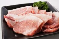 瀬戸内育ち “極上”の豚肉「瀬戸のもち豚せと姫」焼肉セット約700g (バラ400g・ロース300g・自家製焼肉のタレ)【肉 豚肉 焼肉 セット 豚バラ ロース タレ付き スライス　国産 お肉 精肉セット　広島県 福山市】