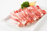 瀬戸内育ち “極上”の豚肉「瀬戸のもち豚せと姫」焼肉セット約700g (バラ400g・ロース300g・自家製焼肉のタレ)【肉 豚肉 焼肉 セット 豚バラ ロース タレ付き スライス　国産 お肉 精肉セット　広島県 福山市】