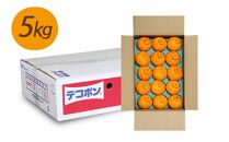 不知火 (しらぬひ) 約5kg（12～24玉入り）【2025年2月～3月発送】