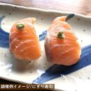 サーモン 琴浦 グランサーモン 500g ( 3-5パック ) 刺身用 小分け 生食 国産 陸上養殖 刺身 刺し身 さしみ 冷凍 鮭 サケ 魚 さかな 海鮮 魚介類 鳥取 人気 おすすめ 真空 個包装