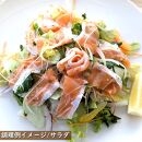 サーモン 琴浦 グランサーモン 500g ( 3-5パック ) 刺身用 小分け 生食 国産 陸上養殖 刺身 刺し身 さしみ 冷凍 鮭 サケ 魚 さかな 海鮮 魚介類 鳥取 人気 おすすめ 真空 個包装