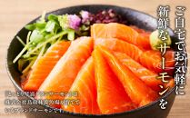 サーモン 琴浦 グランサーモン 500g ( 3-5パック ) 刺身用 小分け 生食 国産 陸上養殖 刺身 刺し身 さしみ 冷凍 鮭 サケ 魚 さかな 海鮮 魚介類 鳥取 人気 おすすめ 真空 個包装