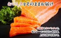 サーモン 琴浦 グランサーモン 500g ( 3-5パック ) 刺身用 小分け 生食 国産 陸上養殖 刺身 刺し身 さしみ 冷凍 鮭 サケ 魚 さかな 海鮮 魚介類 鳥取 人気 おすすめ 真空 個包装