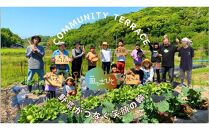 【特別栽培・農家直送】旬のお野菜 詰め合わせギフトセット 6～7品 ウッドBOX付き