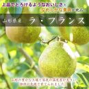 【令和7年産先行受付】中山町産 大粒　ラ・フランス 3kg　特秀品