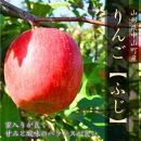 【令和7年産先行受付】山形県中山町産 りんご＜ふじ＞秀品　約5kg　