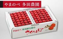 【佐藤錦】本詰 約500g×2【やまのべ多田耕太郎のさくらんぼ 多田農園】