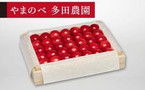 【特選佐藤錦】桐箱詰 約300g【やまのべ多田耕太郎のさくらんぼ 多田農園】