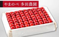 【特選紅秀峰】桐箱詰 約1,100g【やまのべ多田耕太郎のさくらんぼ 多田農園】