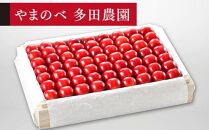 【特選「真夏のルビー紅姫」】桐箱詰 約1,100g【やまのべ多田耕太郎のさくらんぼ 多田農園】