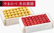 【月山錦・紅秀峰】特選桐箱詰 約700g×2【やまのべ多田耕太郎のさくらんぼ 多田農園】