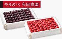 【紅姫・サミット】特選桐箱詰 約1,100g×2【やまのべ多田耕太郎のさくらんぼ 多田農園】