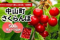 【2025年発送】さくらんぼ　佐藤錦　秀　L　500ｇバラ詰め