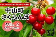 【2025年発送】さくらんぼ　佐藤錦　秀L　500ｇ×2　バラ詰め