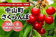 【2025年発送】さくらんぼ　佐藤錦　秀　M－L　200ｇ×8　バラ詰め