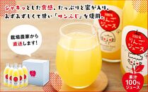 「サンふじ」100％ジュース　600ml×6本