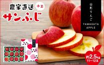 令和6年度産　農家直送「小玉サンふじ」約2.5キロ