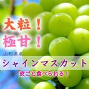 【令和7年産先行受付】山形県中山町産大房大粒シャインマスカット秀品約700g～800g