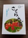 【令和7年産先行受付】中山町産さくらんぼ＜佐藤錦＞秀品　約800ｇ　200g×4P