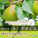 【令和7年産先行受付】中山町の至高！山形県中山町厳選フルーツ定期便　全6回