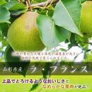 2025年10月発送開始　中山町の至高！山形県中山町厳選 秋の新米・フルーツ定期便B　全3回