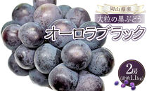 ぶどう&nbsp;2026年&nbsp;岡山県産&nbsp;オーロラブラック&nbsp;2房&nbsp;計約1.1kg