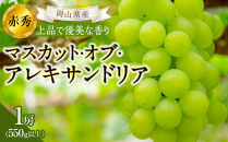 ぶどう&nbsp;2026年&nbsp;岡山県産&nbsp;マスカット・オブ・アレキサンドリア&nbsp;1房&nbsp;&nbsp;赤秀&nbsp;550g以上