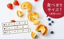 かにわしタルト店の食べ方選べる魔法のチーズタルト16個入り（4個入り×4箱）