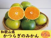 かつらぎのみかん 約5kg S～Lサイズ混合 ご家庭用【2024年10月中旬～2024年11月下旬頃】