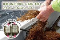 紀州あかもく［由良町産］100g×15パック（2024年産）【SL37】