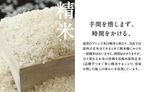 《令和6年産新米予約》【八代目儀兵衛】京の料亭米（5kg）