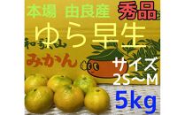 【秀品】ゆら早生 5kg 2S~M 和歌山 由良産