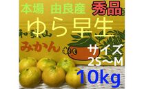 【秀品】ゆら早生 10kg 2S~M 和歌山 由良産