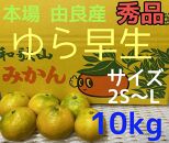 【秀品】ゆら早生 10kg 2S~L 和歌山 由良産