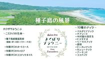 種子島の風景 よくばりブラウニー(30g×3個)