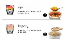 レンジで1分 野菜をMOTTO スープ 韓国風スープ 6個セット（チゲ・参鶏湯 2種各3個）レトルト インスタント 国産 ダイエット 具だくさん 時短 【静岡市】