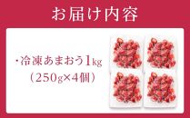 福岡県産　冷凍あまおう1kg（250ｇ×4個）