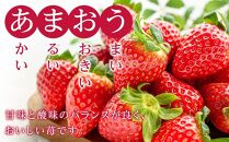訳あり！辛子明太子（切子）500ｇと福岡県産冷凍あまおう500ｇ（250ｇ×2個）セット