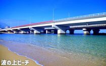 【那覇市】しろくまツアーで利用可能なWEB旅行クーポン（9,000円分）｜沖縄　那覇市　WEB旅行 トラベル 宿泊 予約 人気　パッケージ 観光 旅行券