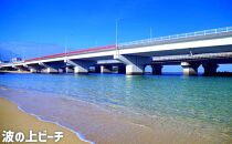 【那覇市】しろくまツアーで利用可能なWEB旅行クーポン（300,000円分）｜沖縄　那覇市　WEB旅行 トラベル 宿泊 予約 人気　パッケージ 観光 旅行券