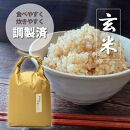 福岡県産【特A】評価のお米「元気つくし」5kg×1袋 [5kg] [玄米]