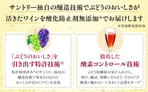 サントリー 酸化防止剤無添加のおいしいワイン。スパークリング 〈赤〉350ml×24本 | スパークリング ワイン 果実酒 お酒 無添加 人気 おすすめ